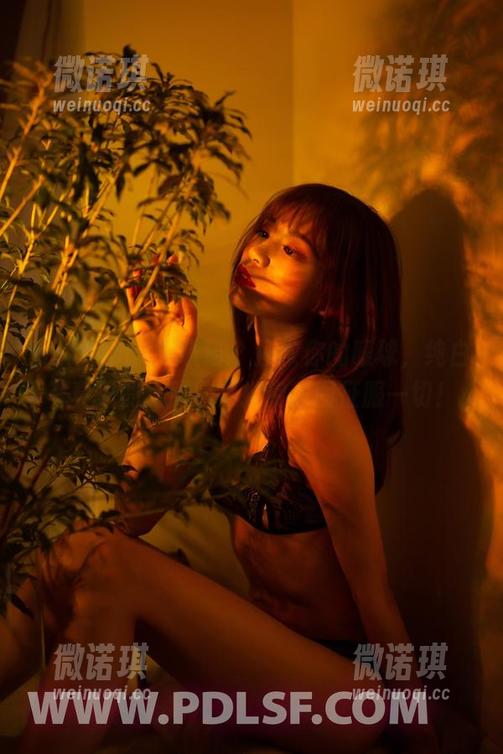 partycat轰趴猫 - 拯救你的眼球，纯白写真里的土肥圆矮挫穷原图征服一切！
